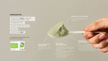 Cargar imagen en el visor de la galería, Vegan ECO Protein with Matcha Tea

