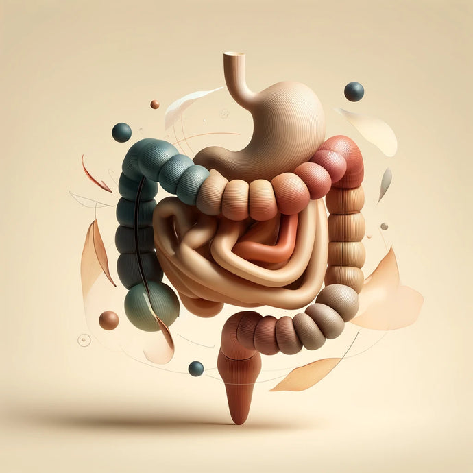 Proteínas y Digestión: Cómo las Proteínas Afectan tu Sistema Digestivo